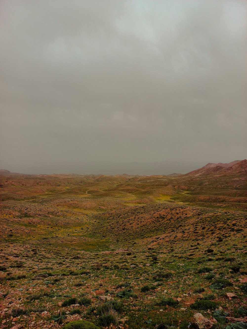 a field of grass and dirt