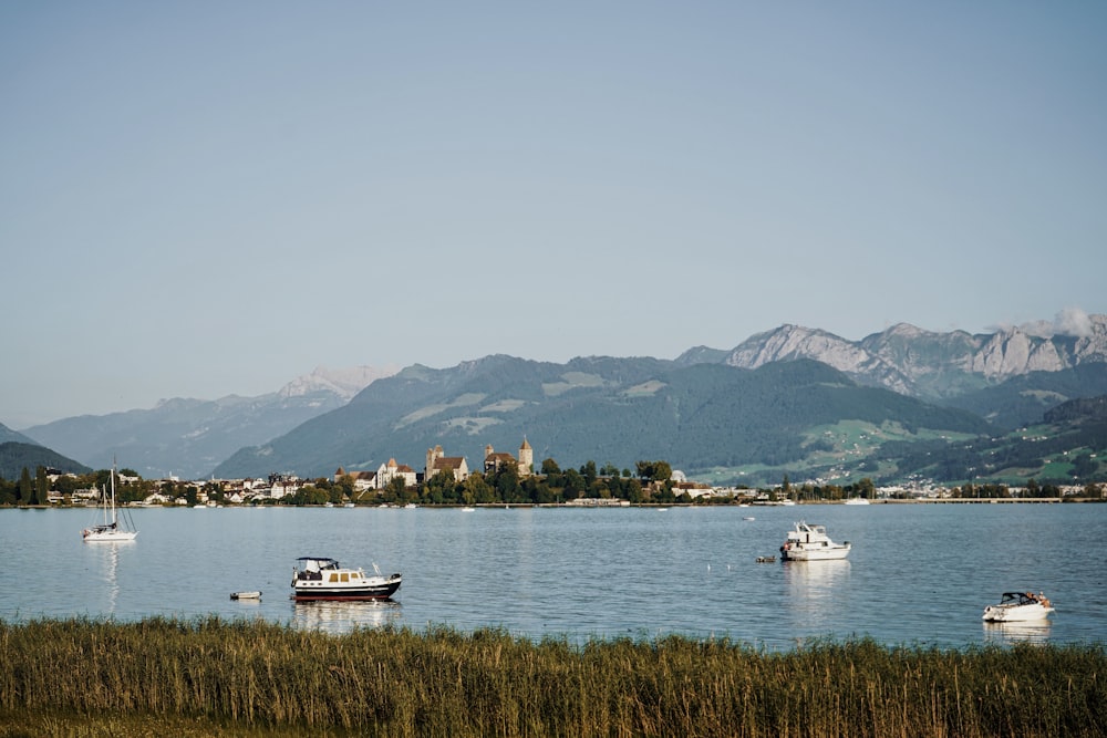 boats on the water