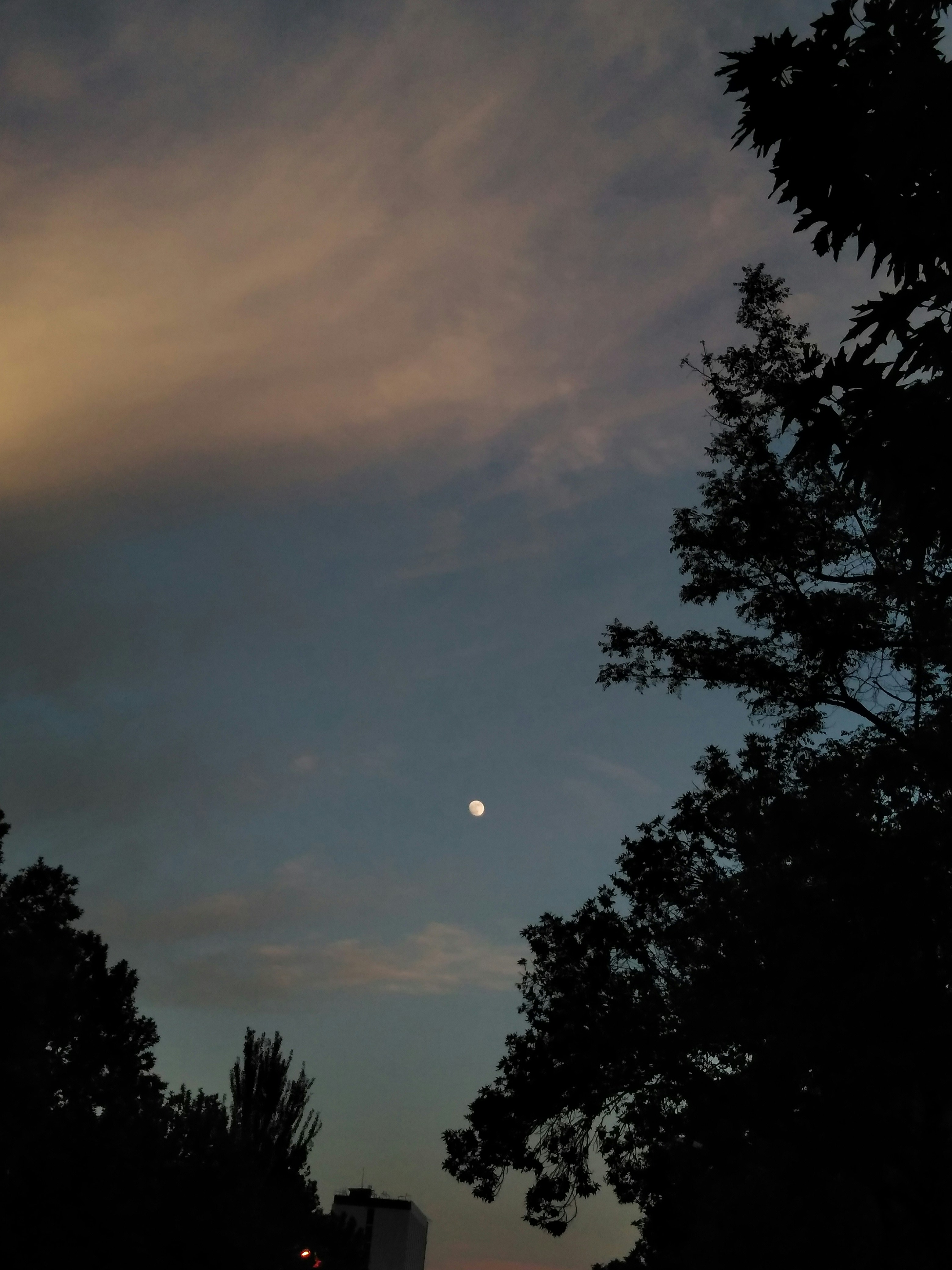 Photo by haftir00moone