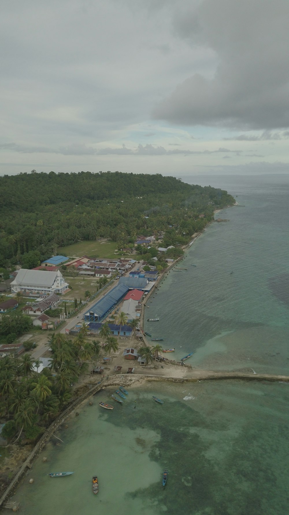 a beach with houses and trees