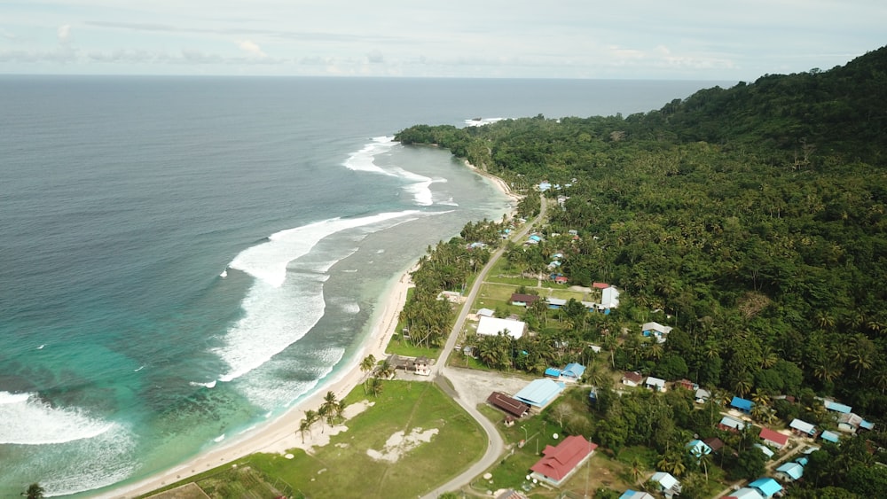 a beach with houses and trees by it