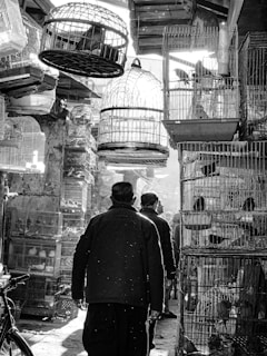 a couple of people looking at cages