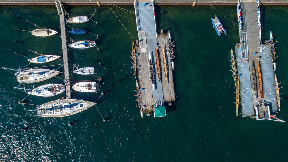 a group of boats in the water