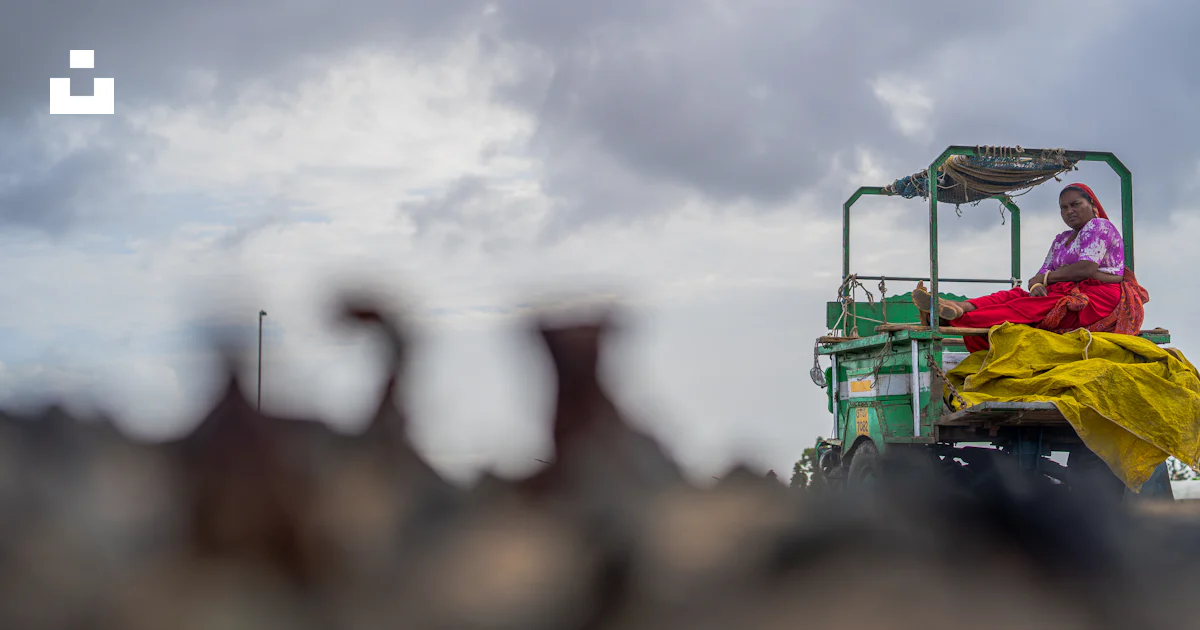 A person riding a tractor photo – Free Grey Image on Unsplash