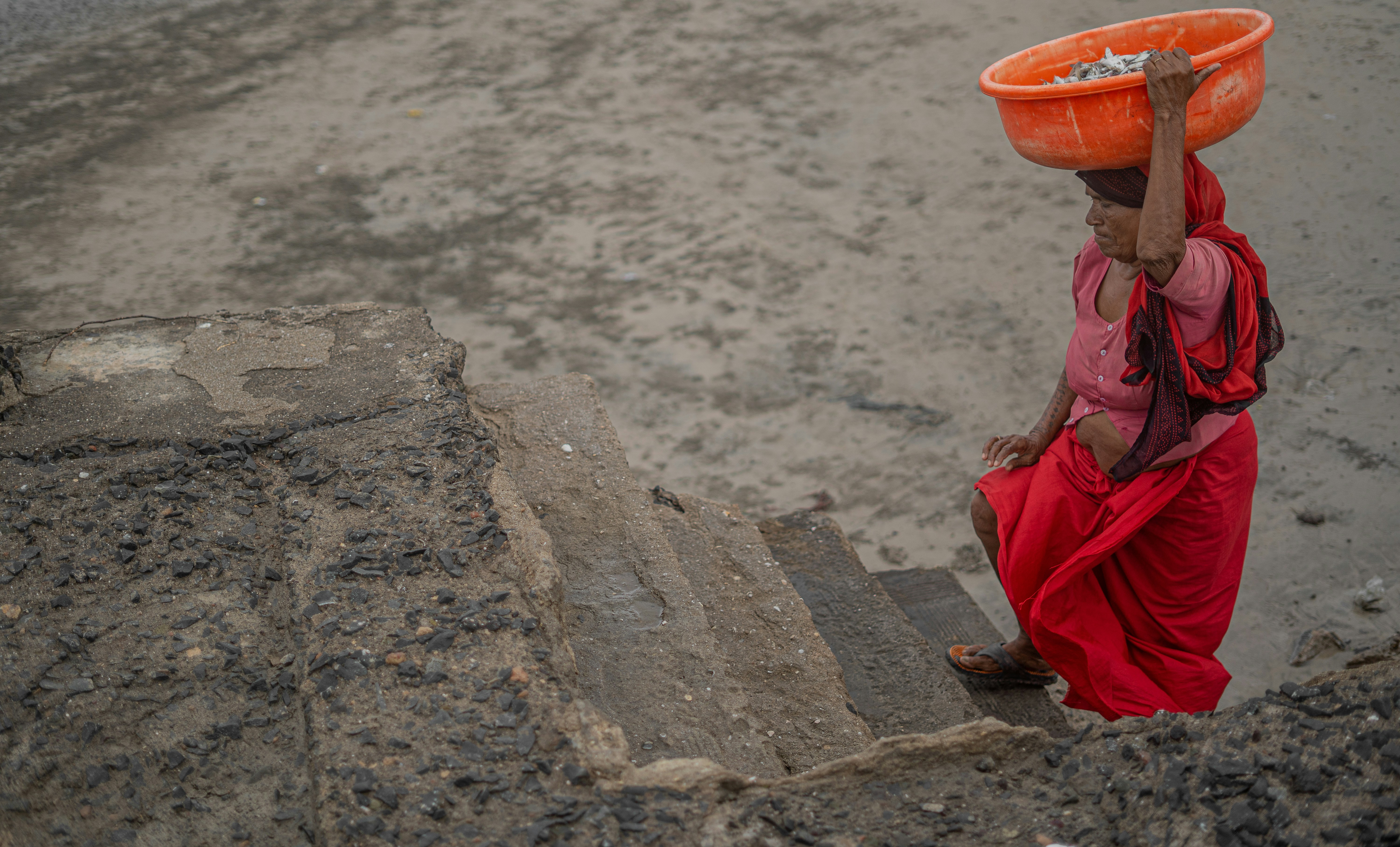 Photo by rushicumar3433