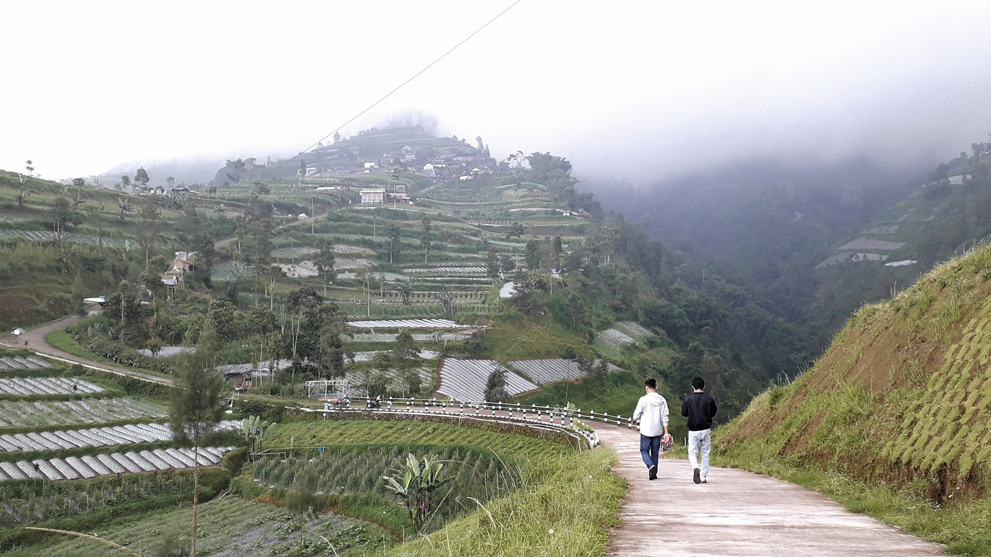 Best Time to Visit Mount Merbabu: Weather and Seasons Guide