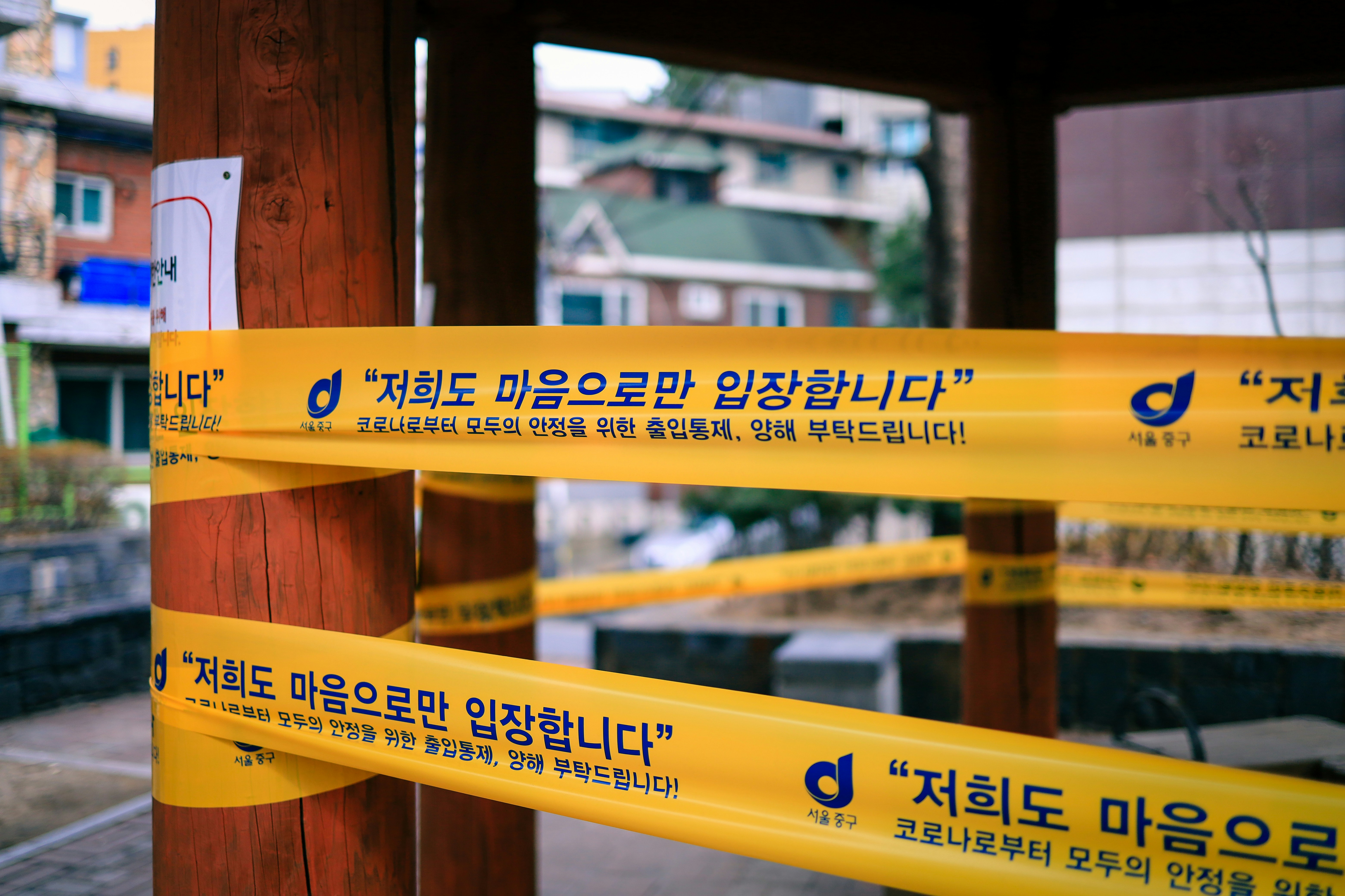 자동차보험료 비교