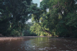 a river with trees on the banks