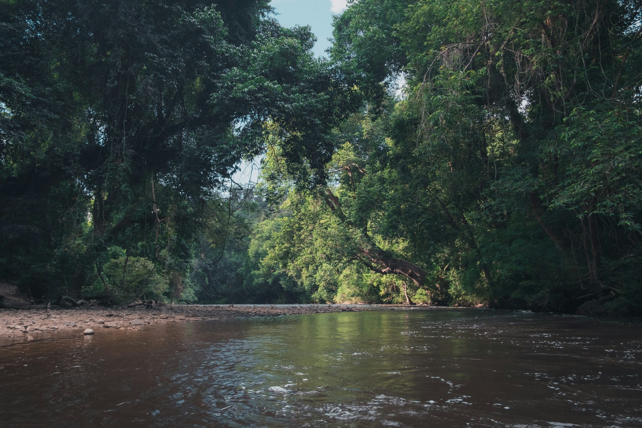 Park Narodowy Taman Negara