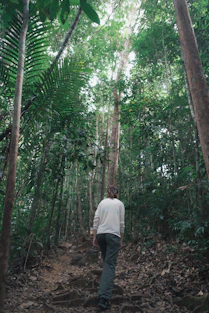 a person walking in a forest