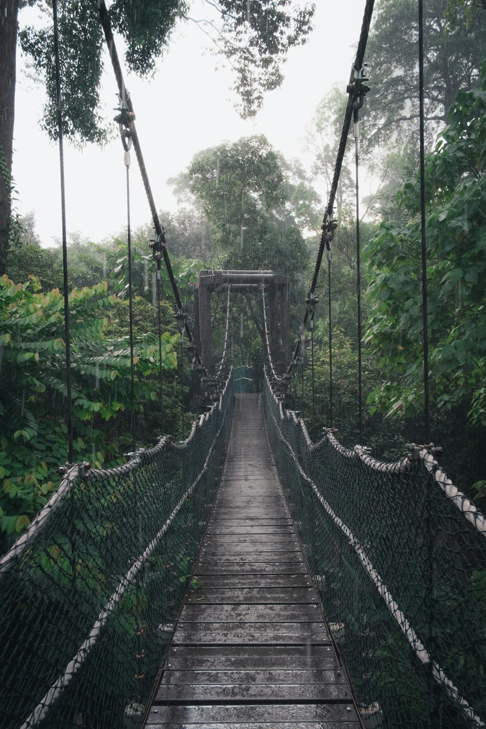 a long wooden bridge in the jungle