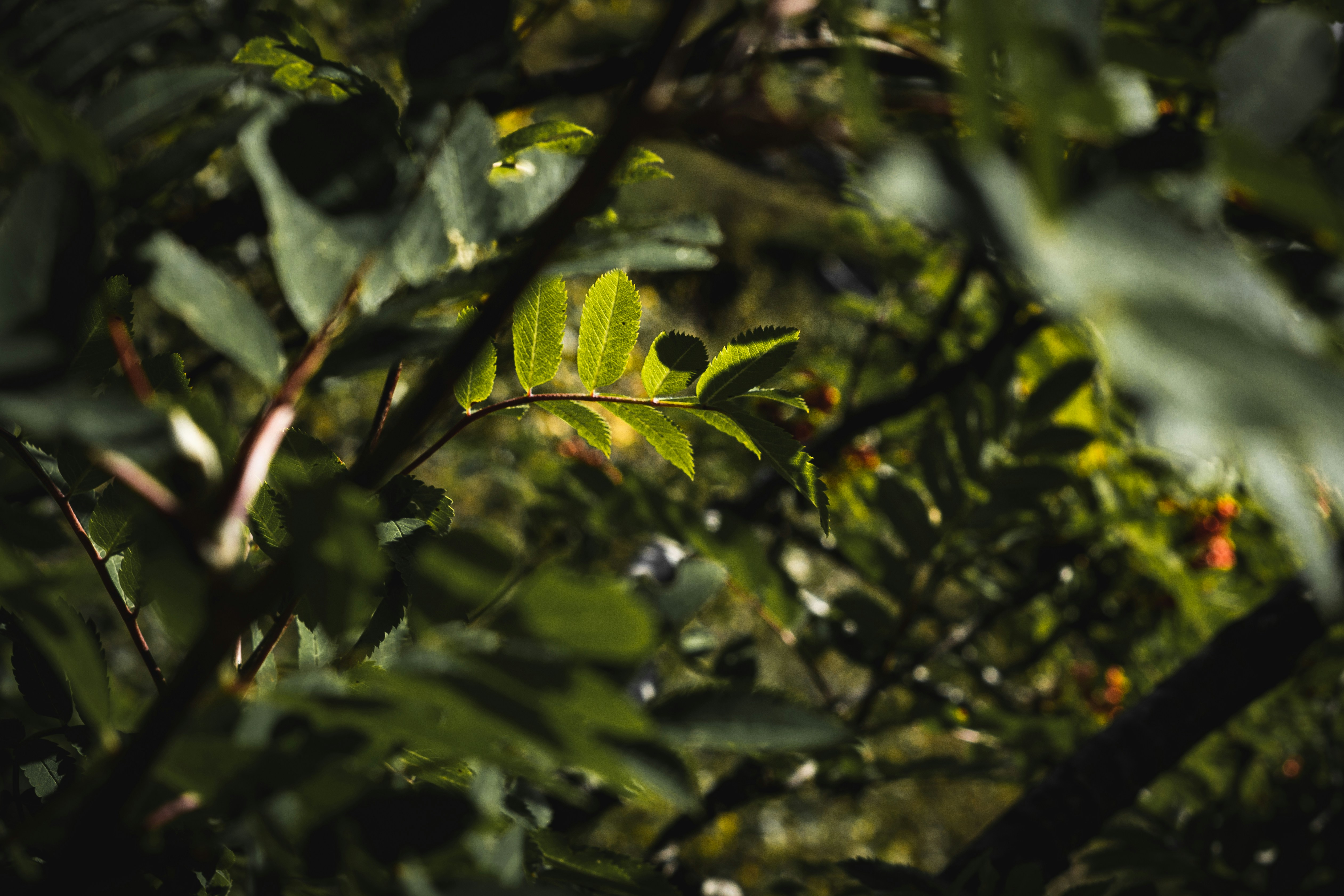 Photo by christinatbk