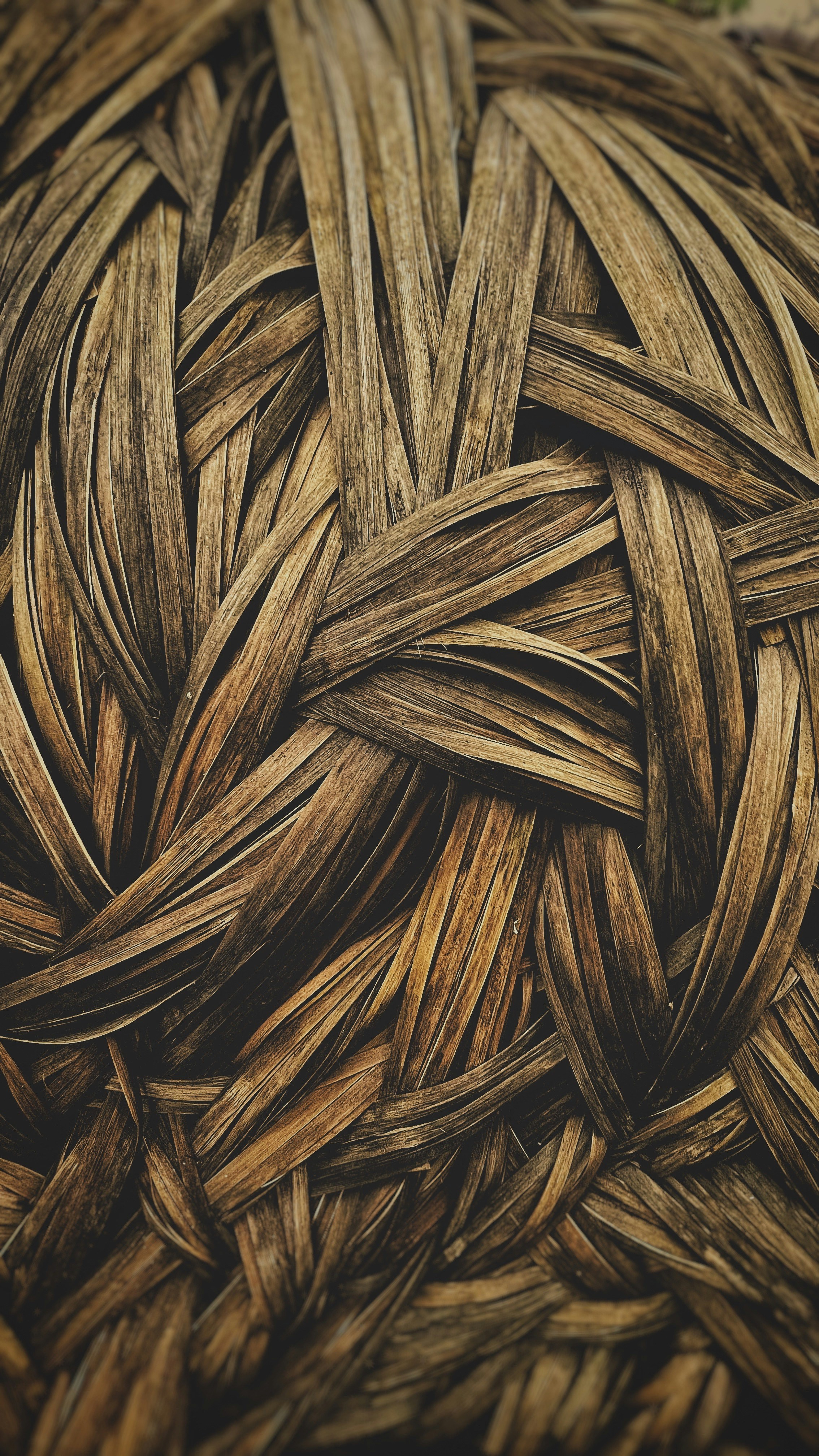 Photo by impromptu_ipw