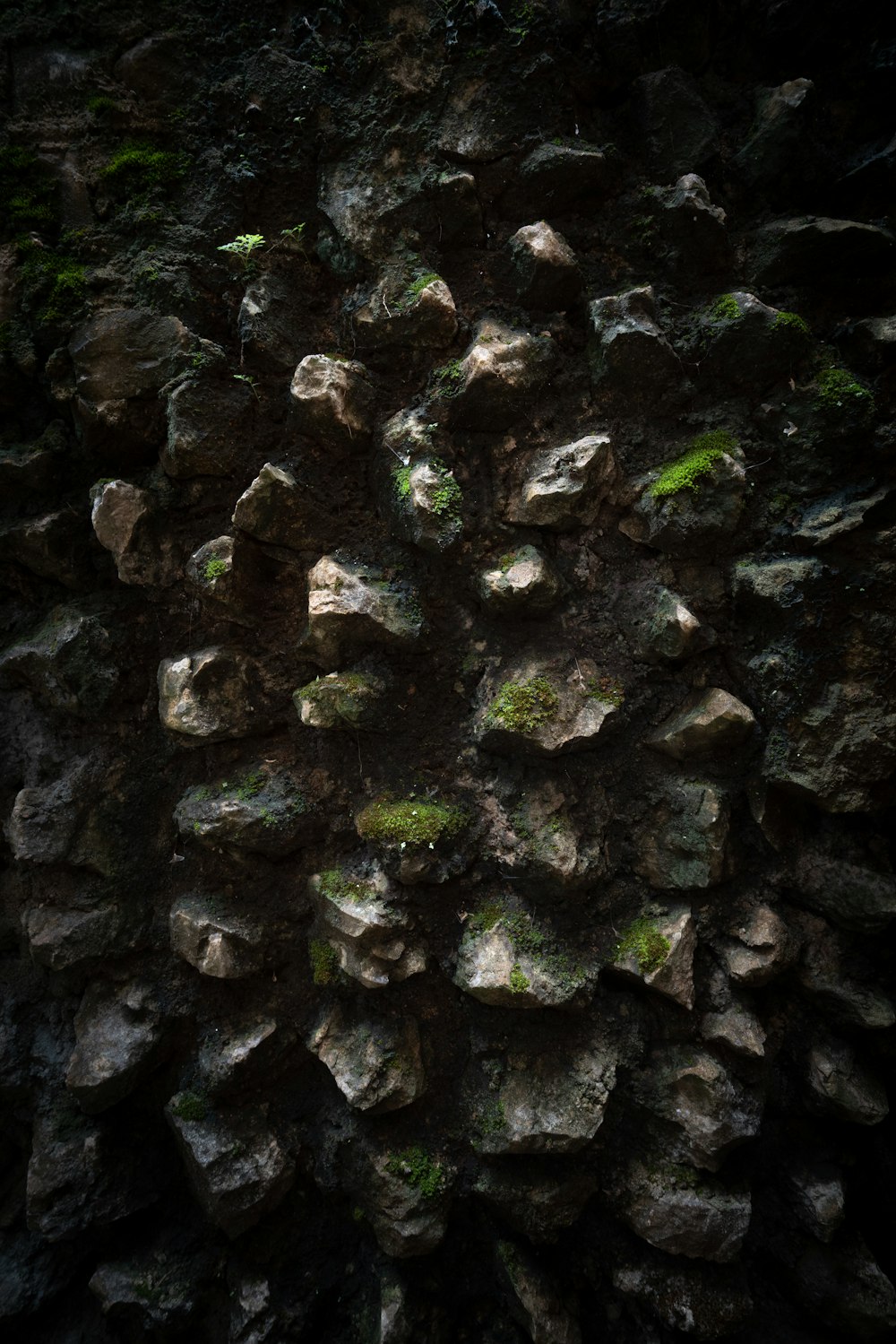 a close up of a rock