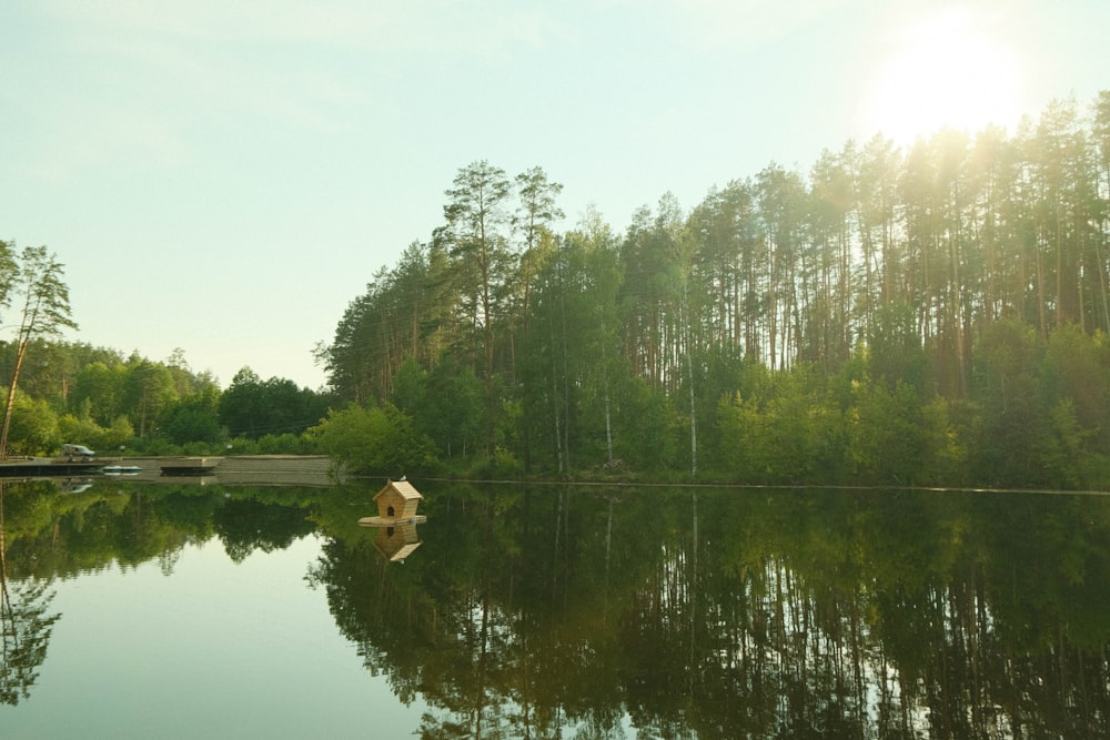 a body of water with trees around it