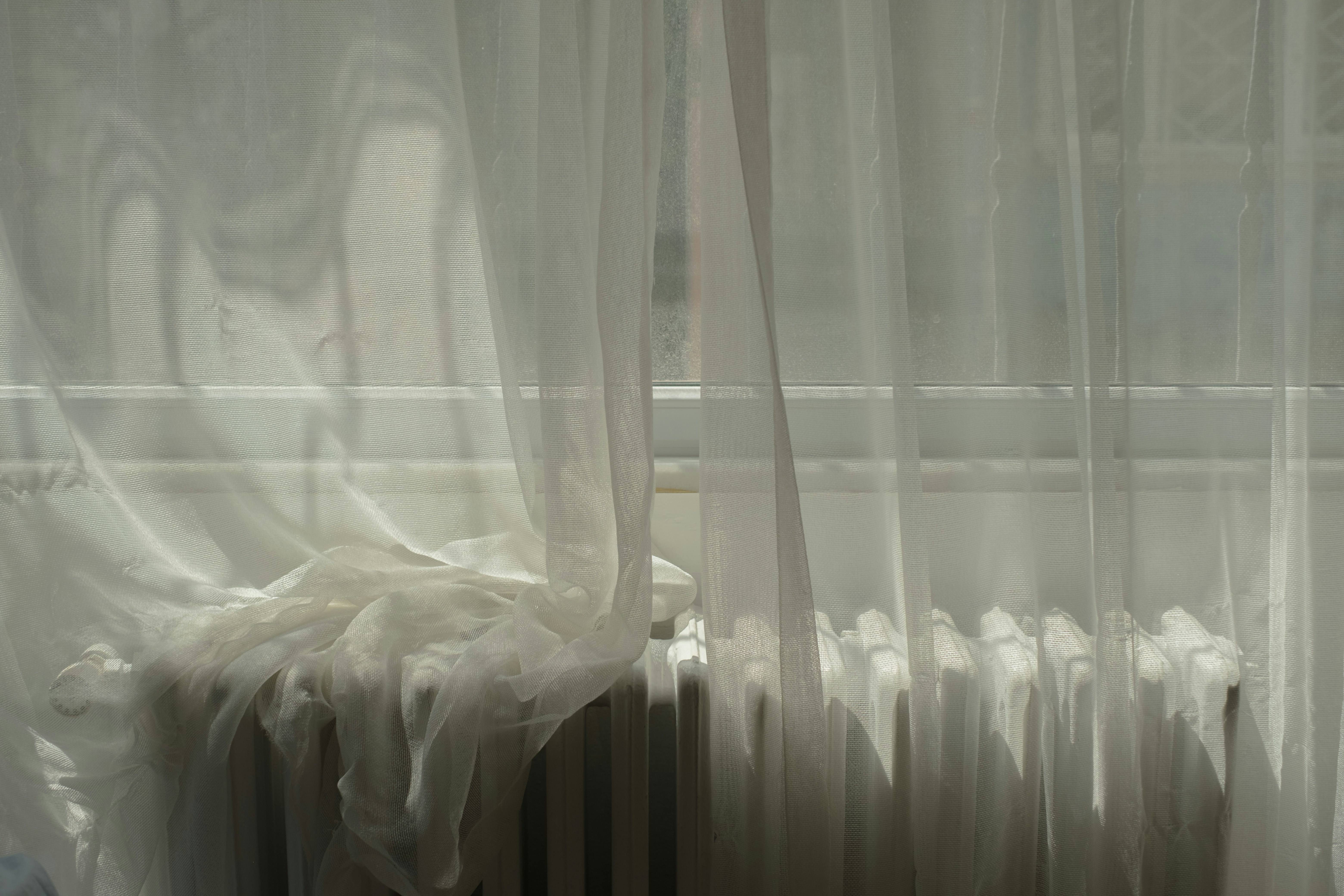 Photo by shivahemmat