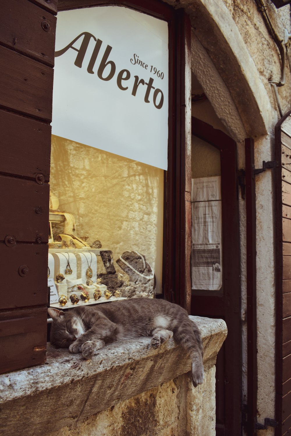 a cat lying on a window sill