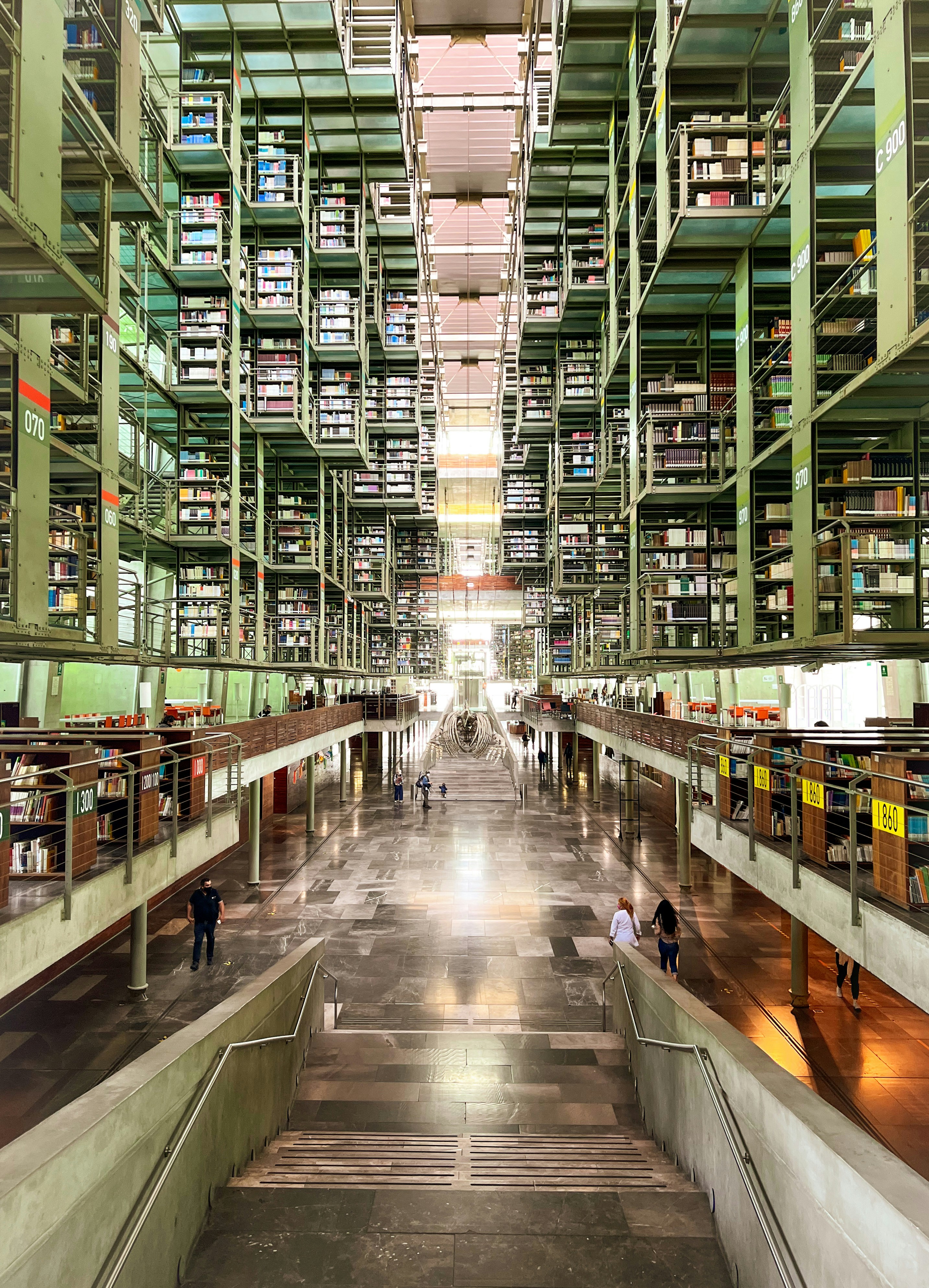 Creating a Shopping List