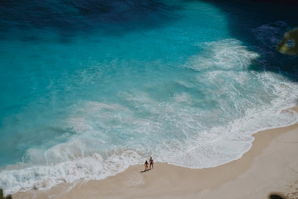 a couple people walking on a beach