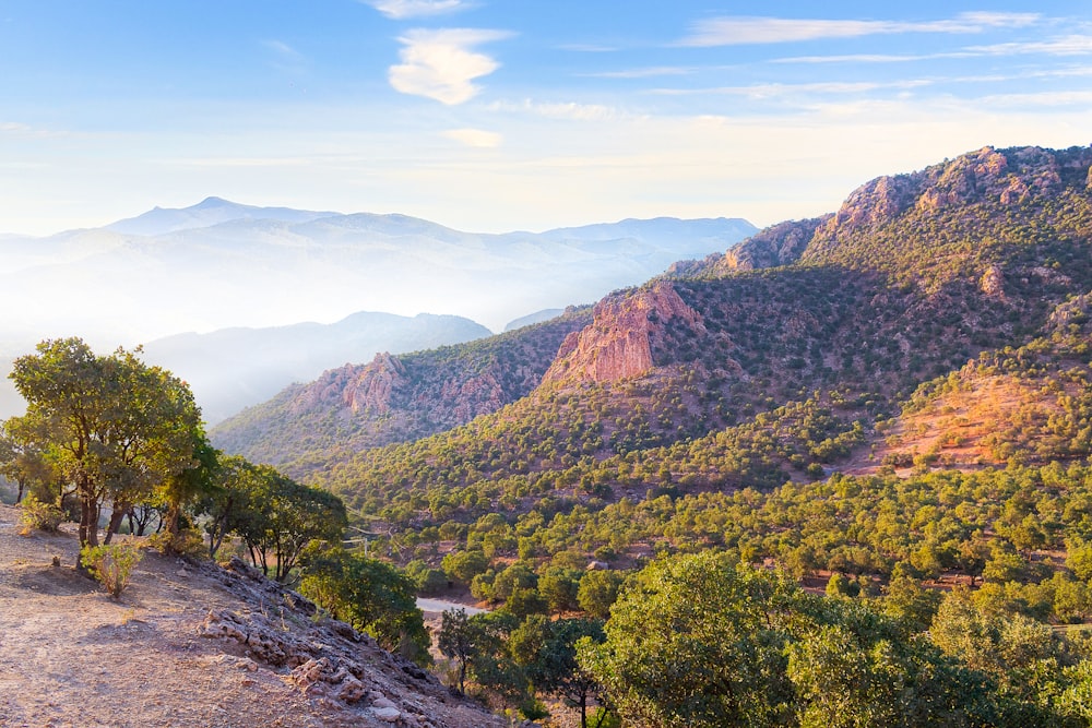 a landscape with trees and mountains