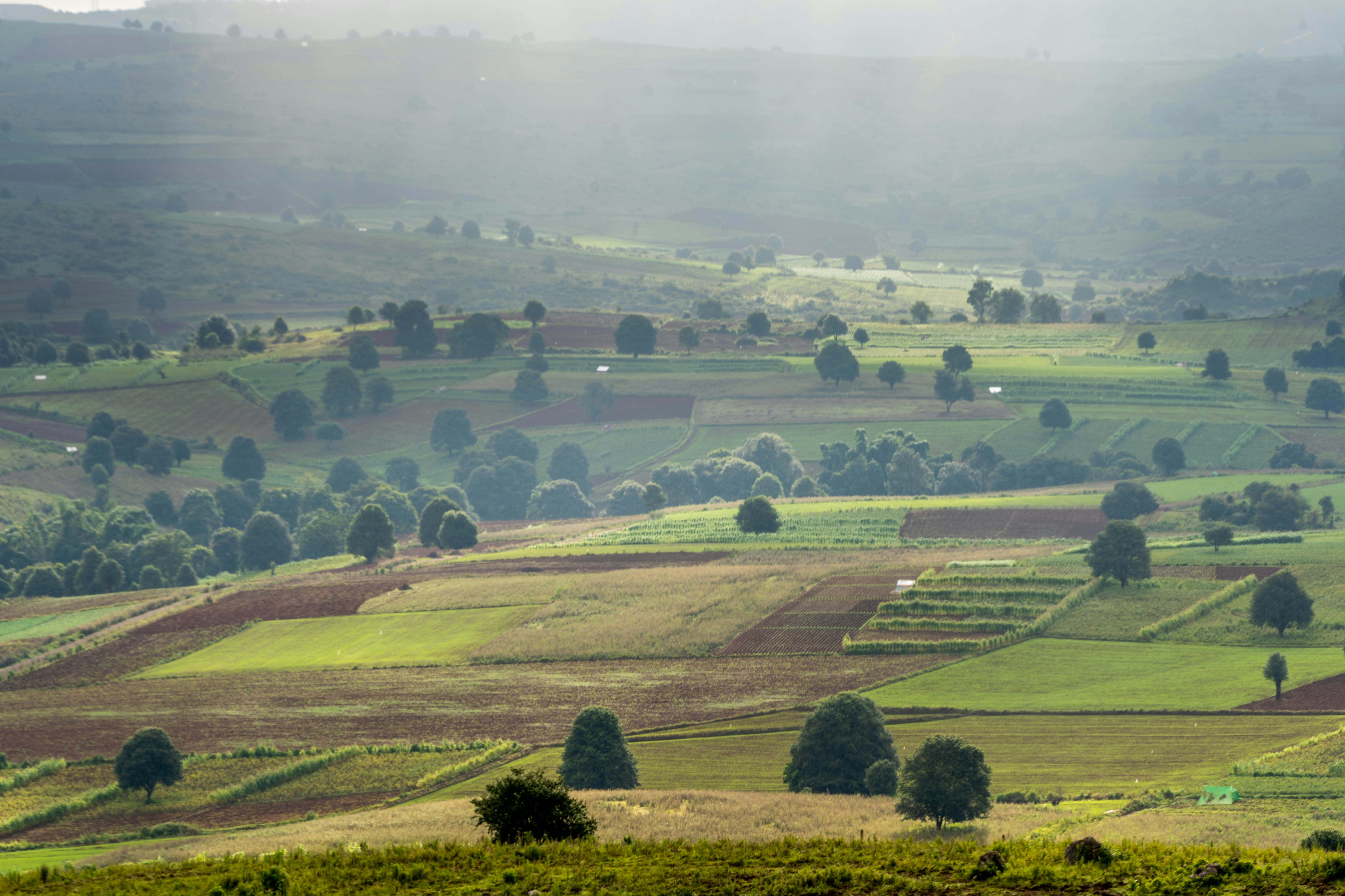 Photo by mrthetkhine