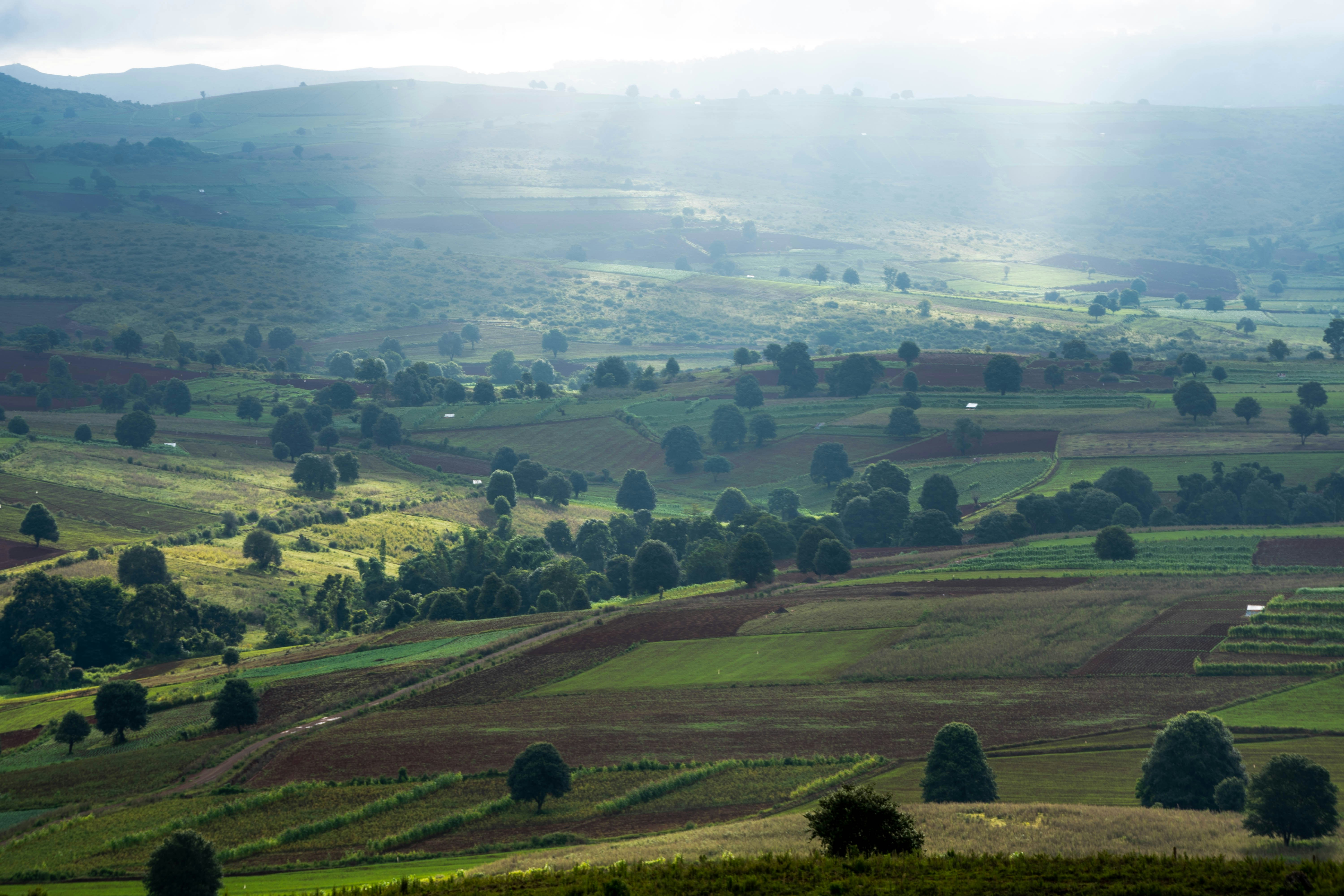 Photo by mrthetkhine