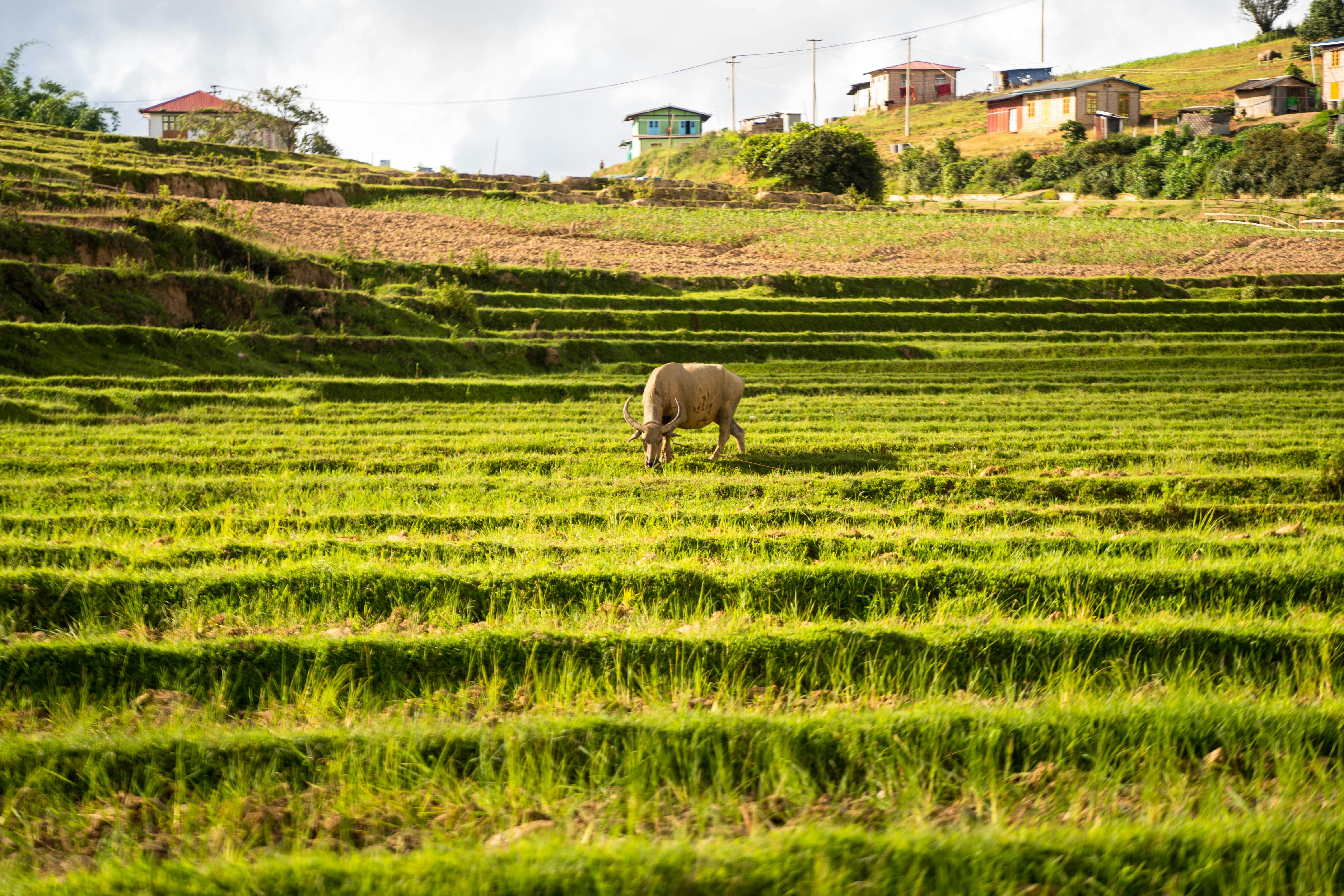 Photo by mrthetkhine