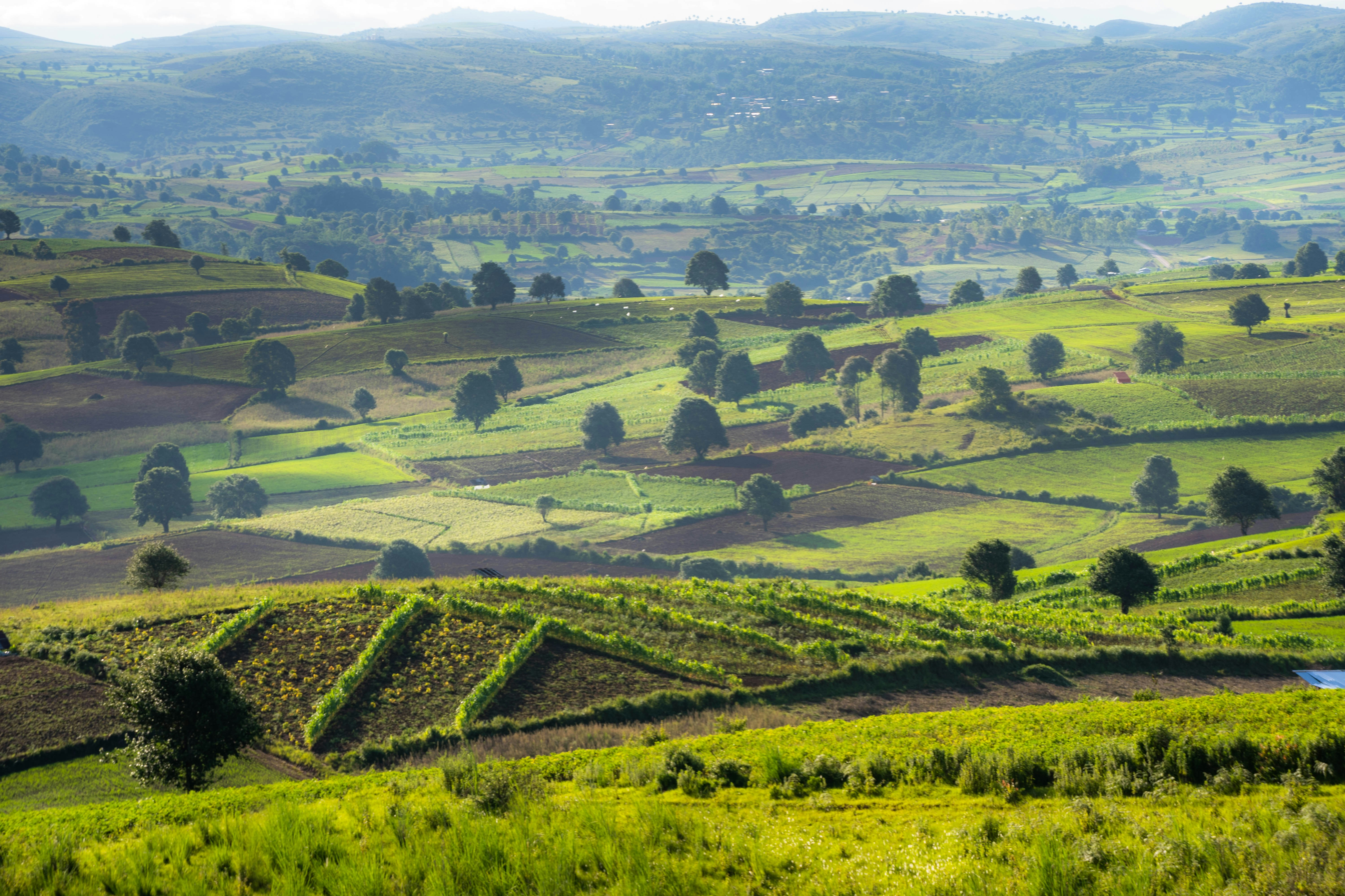 Photo by mrthetkhine