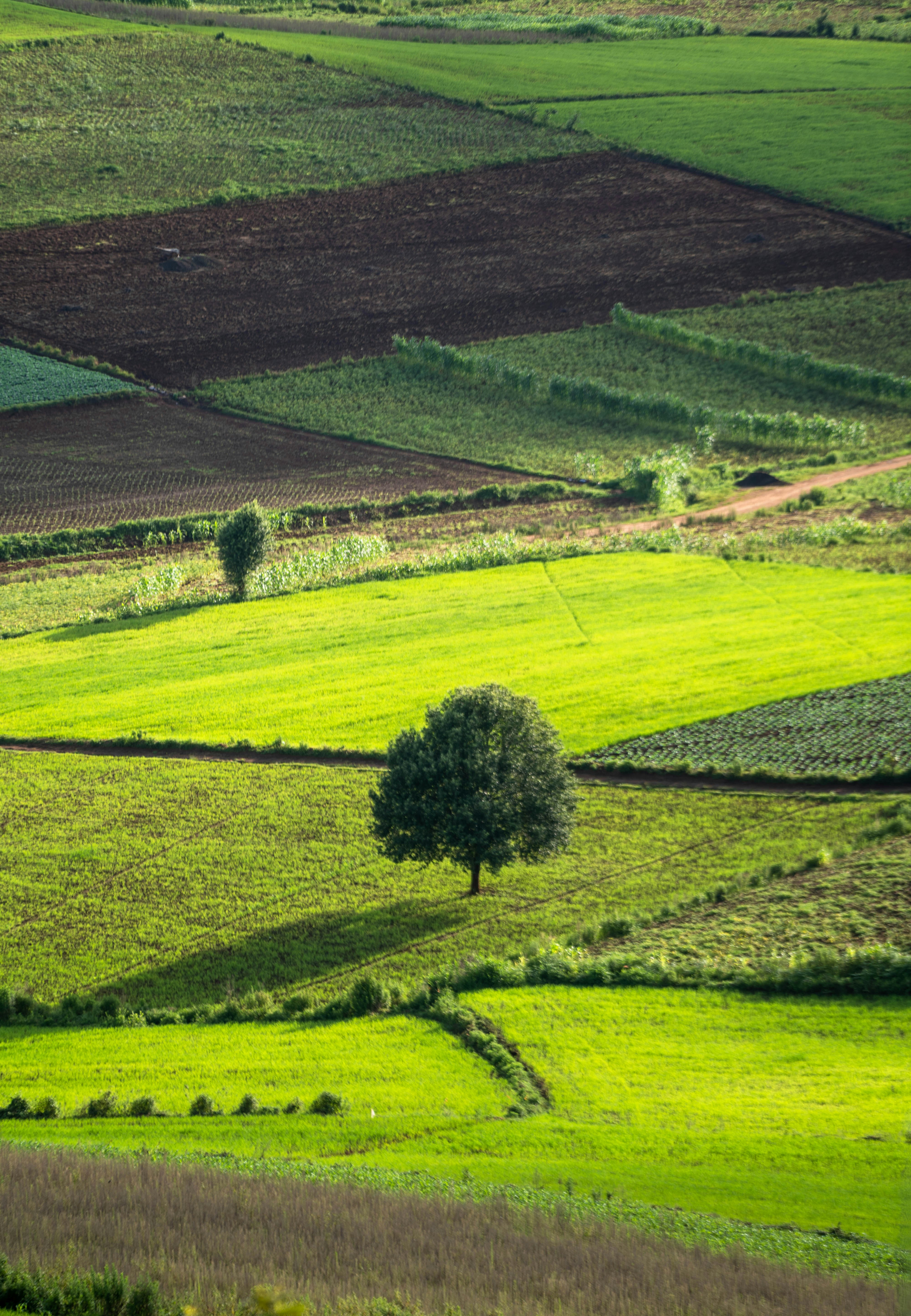 Photo by mrthetkhine