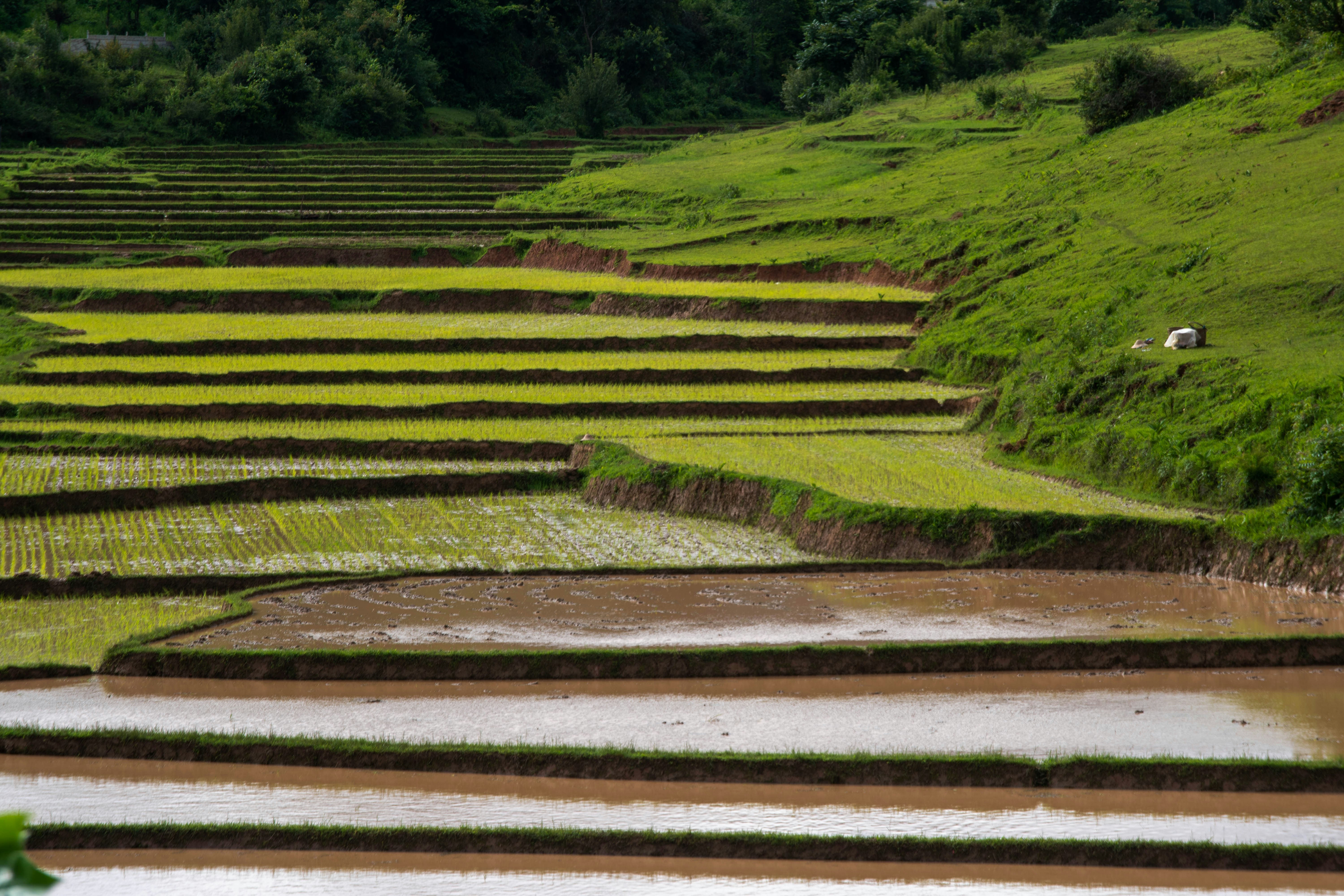 Photo by mrthetkhine