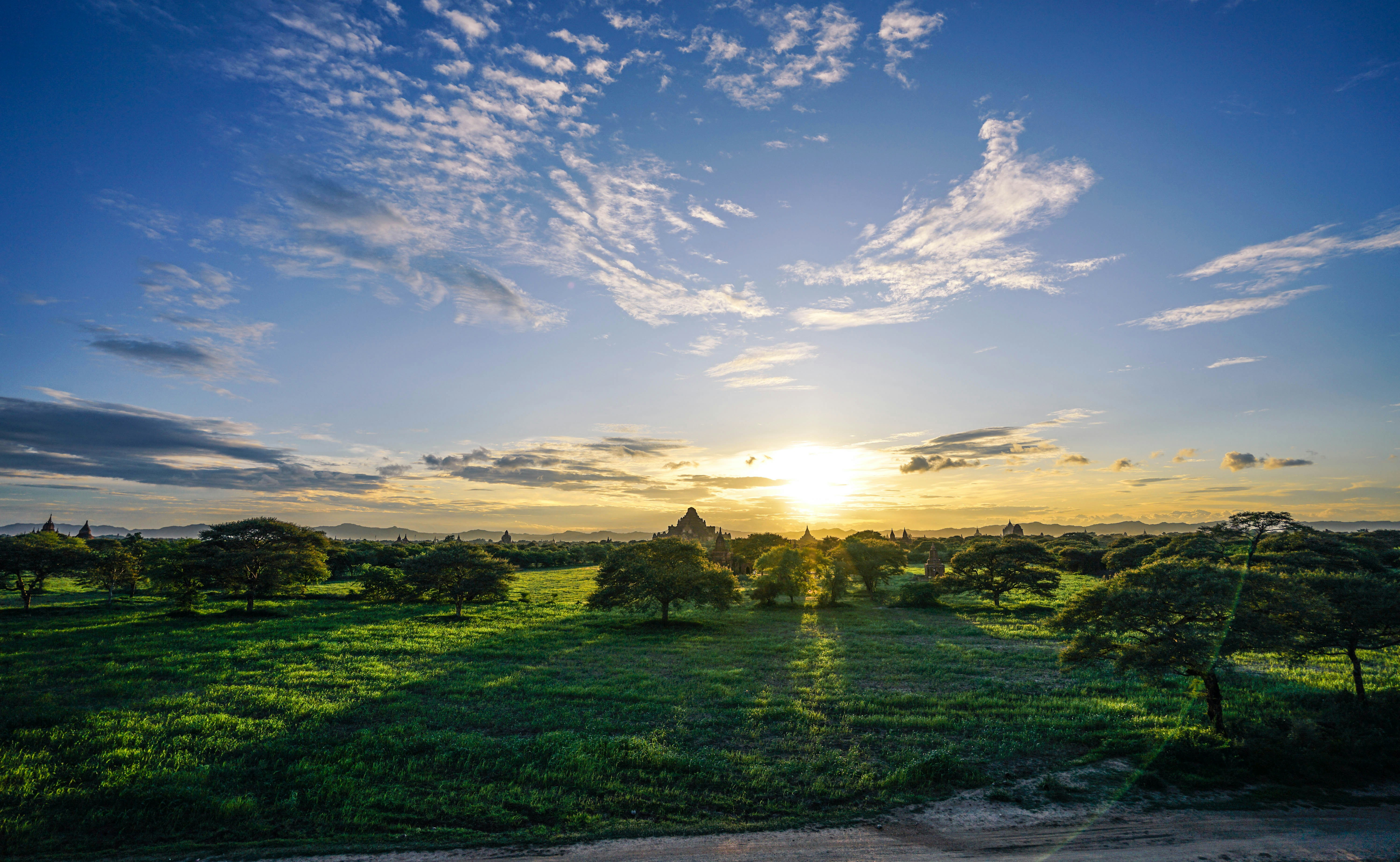 a body of water with trees and grass around it