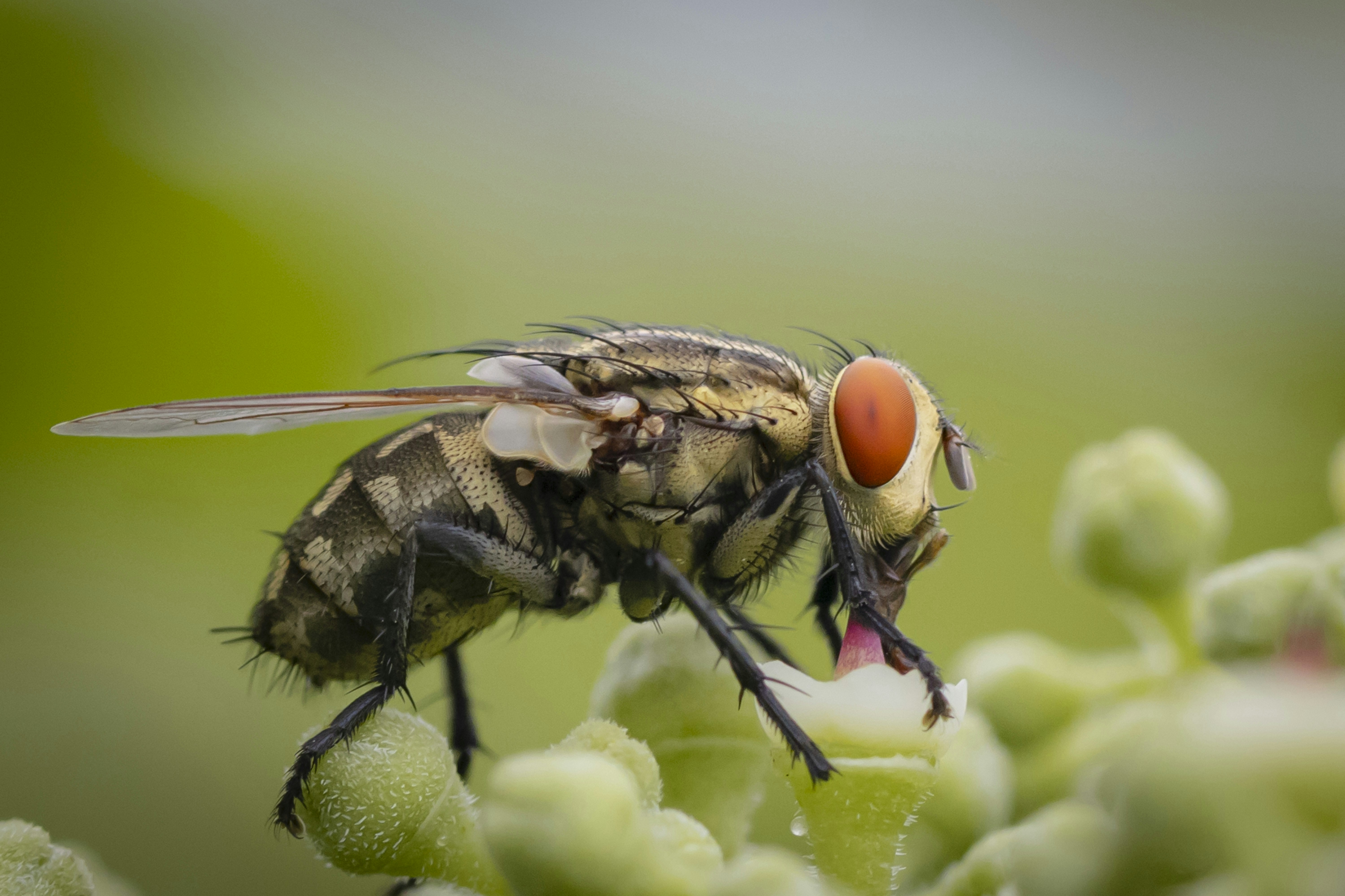 Photo by vdphotography