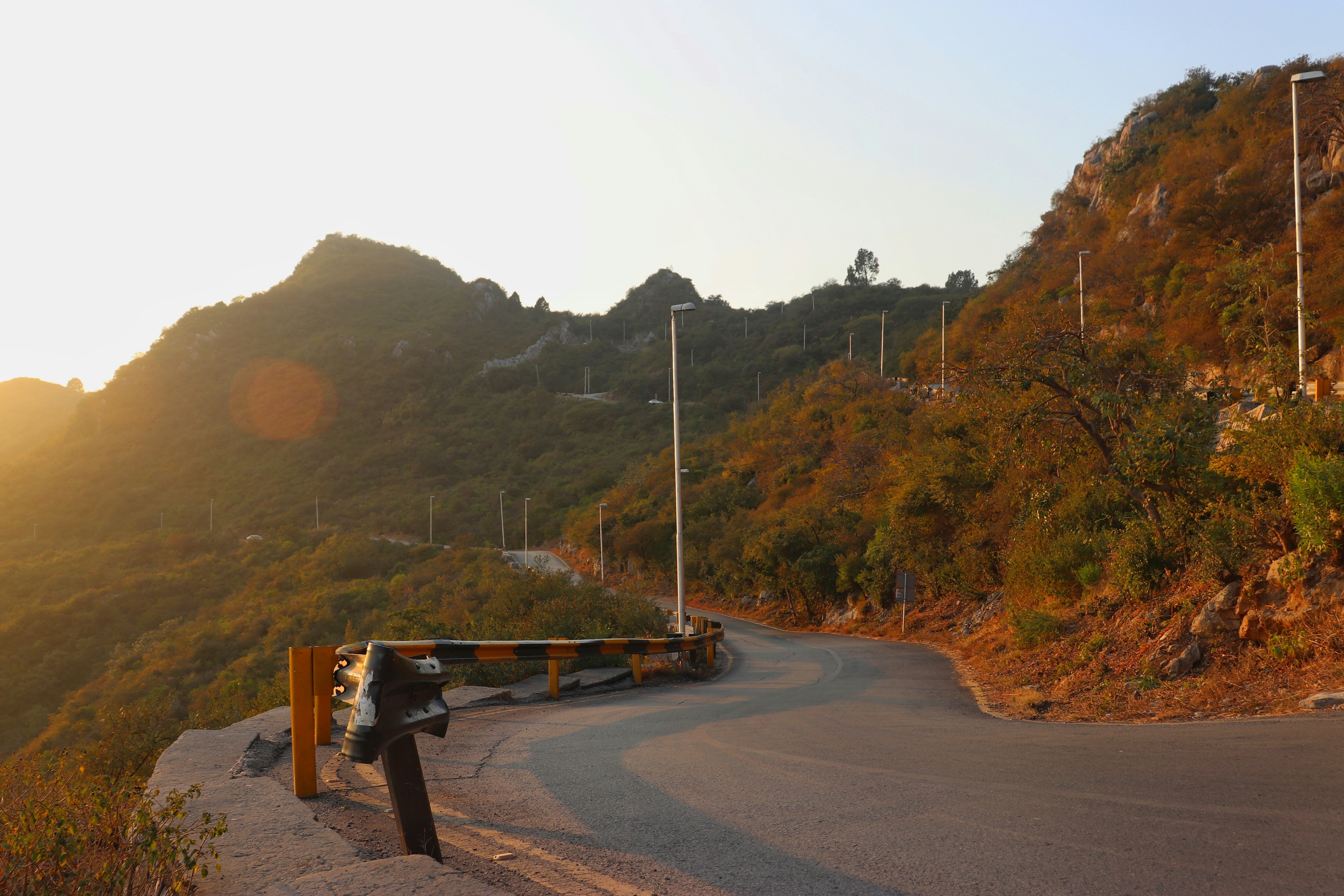 a road with trees on the side