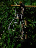 A metal lantern frame hangs on a bamboo stick amidst dense green foliage. The frame is orb-shaped, casting shadows against the leaves. The setting appears to be outdoors, likely in a garden with abundant greenery.