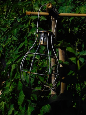 A metal lantern frame hangs on a bamboo stick amidst dense green foliage. The frame is orb-shaped, casting shadows against the leaves. The setting appears to be outdoors, likely in a garden with abundant greenery.