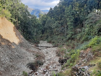 A forested area with a dry, rocky stream bed cutting through the landscape. On the left, a steep, eroded slope of earth and stone leads down to the stream. Dense trees surround the area, with lush green foliage contrasting against the rocky terrain. In the distance, rolling hills are visible under a partly cloudy sky.