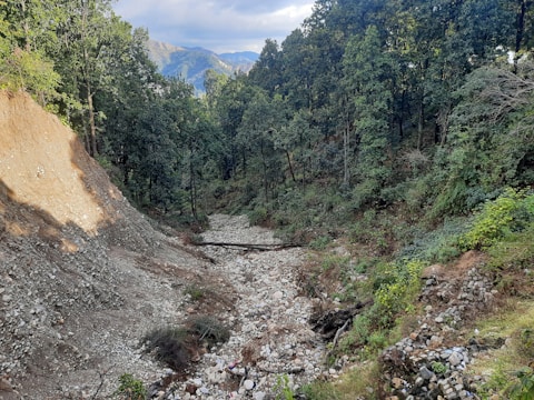 A forested area with a dry, rocky stream bed cutting through the landscape. On the left, a steep, eroded slope of earth and stone leads down to the stream. Dense trees surround the area, with lush green foliage contrasting against the rocky terrain. In the distance, rolling hills are visible under a partly cloudy sky.