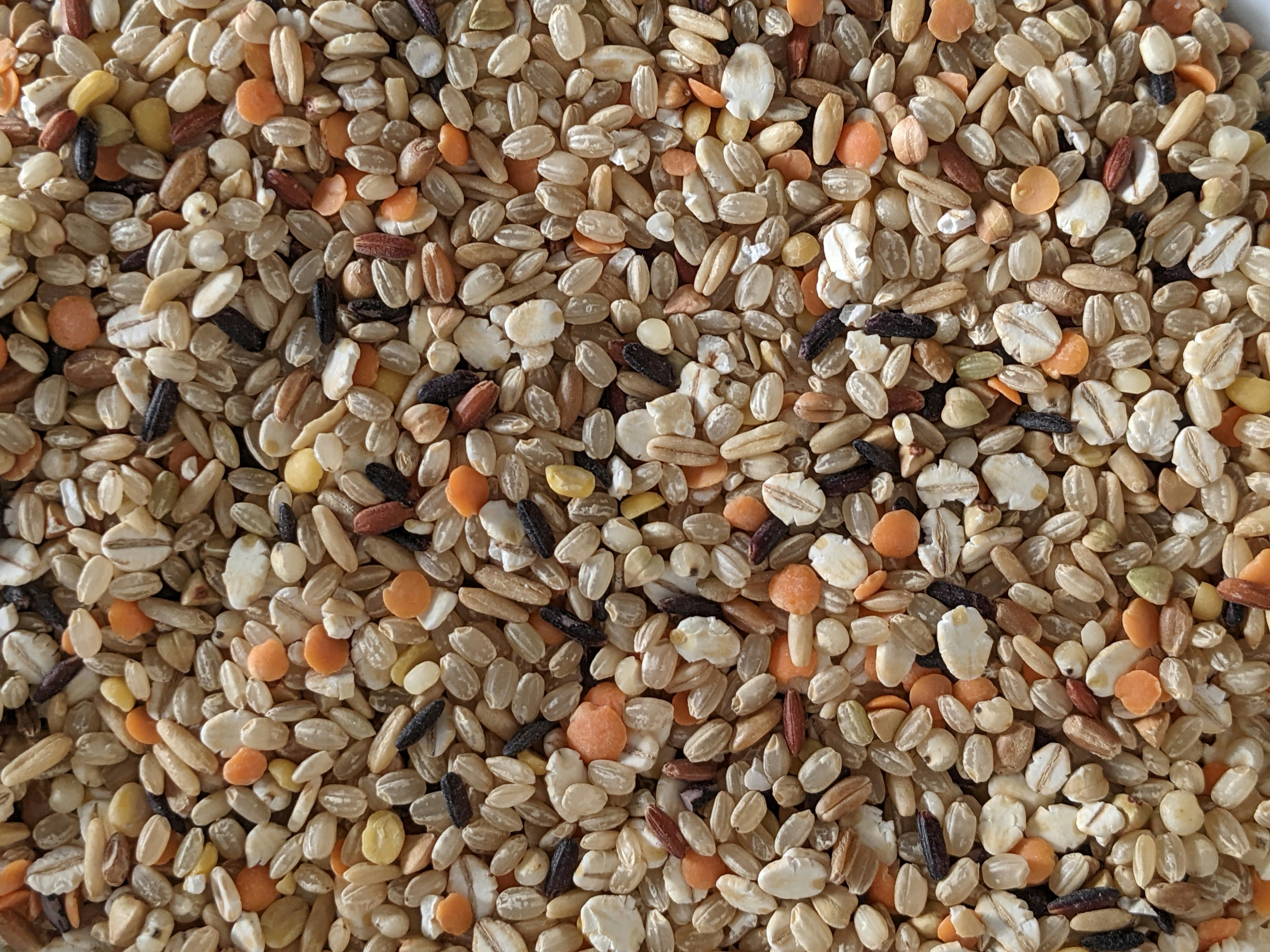 Organic Red Lentils