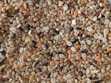A close-up view of an assortment of various grains and lentils. The mix includes different colors and shapes, such as orange lentils, black seeds, and beige grains, providing a textured and detailed pattern.