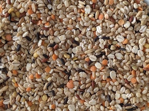 A vibrant display of various pulses and lentils offered by Akresh International.