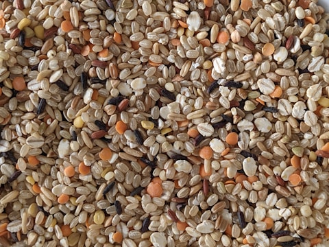 A close-up view of an assortment of various grains and lentils. The mix includes different colors and shapes, such as orange lentils, black seeds, and beige grains, providing a textured and detailed pattern.