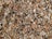 A close-up view of an assortment of various grains and lentils. The mix includes different colors and shapes, such as orange lentils, black seeds, and beige grains, providing a textured and detailed pattern.