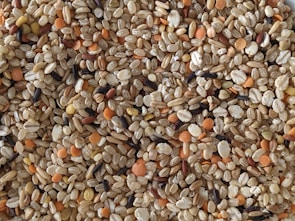 Close-up of masoor dal showcasing its rich color and texture.