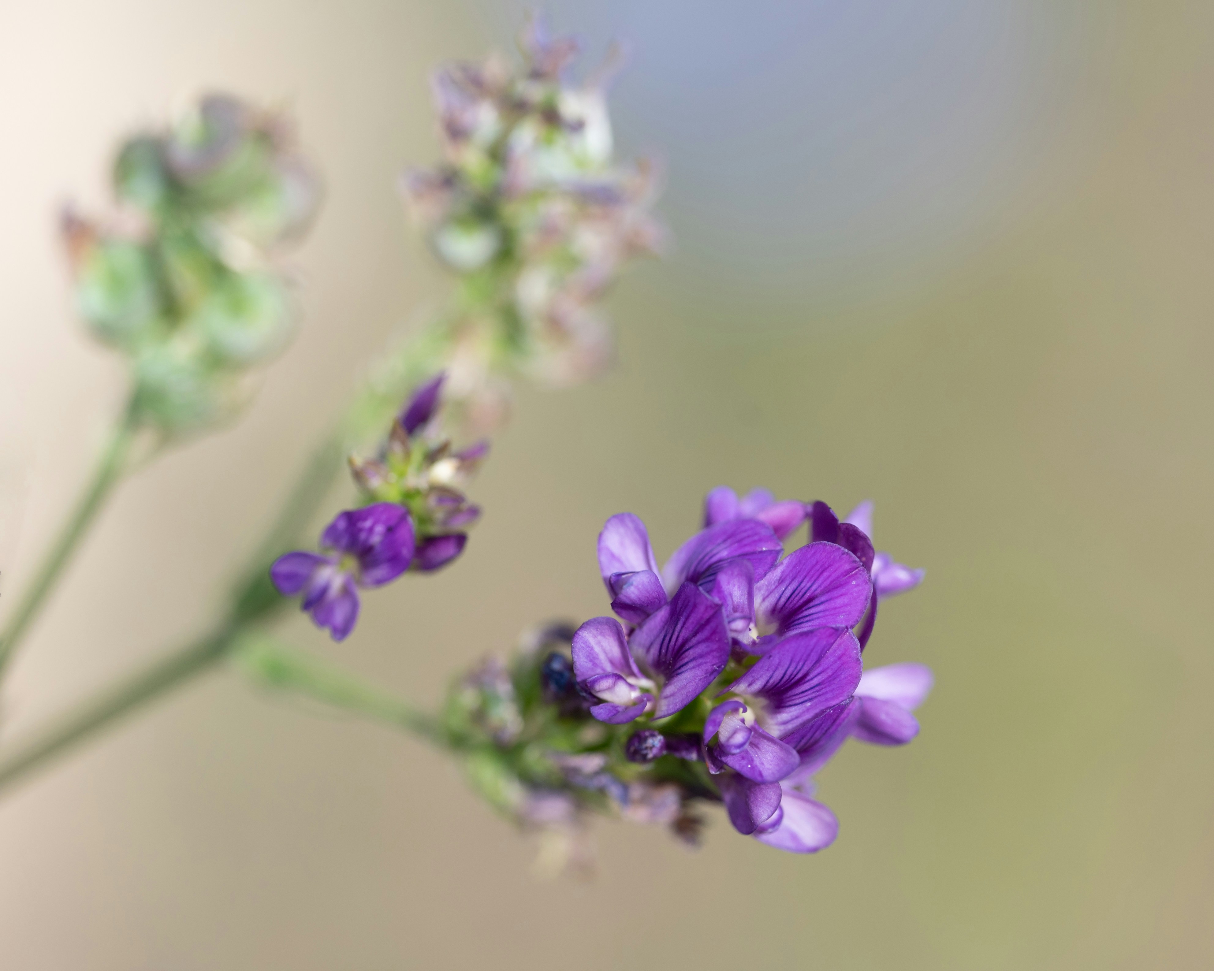 Photo by carrie_borden