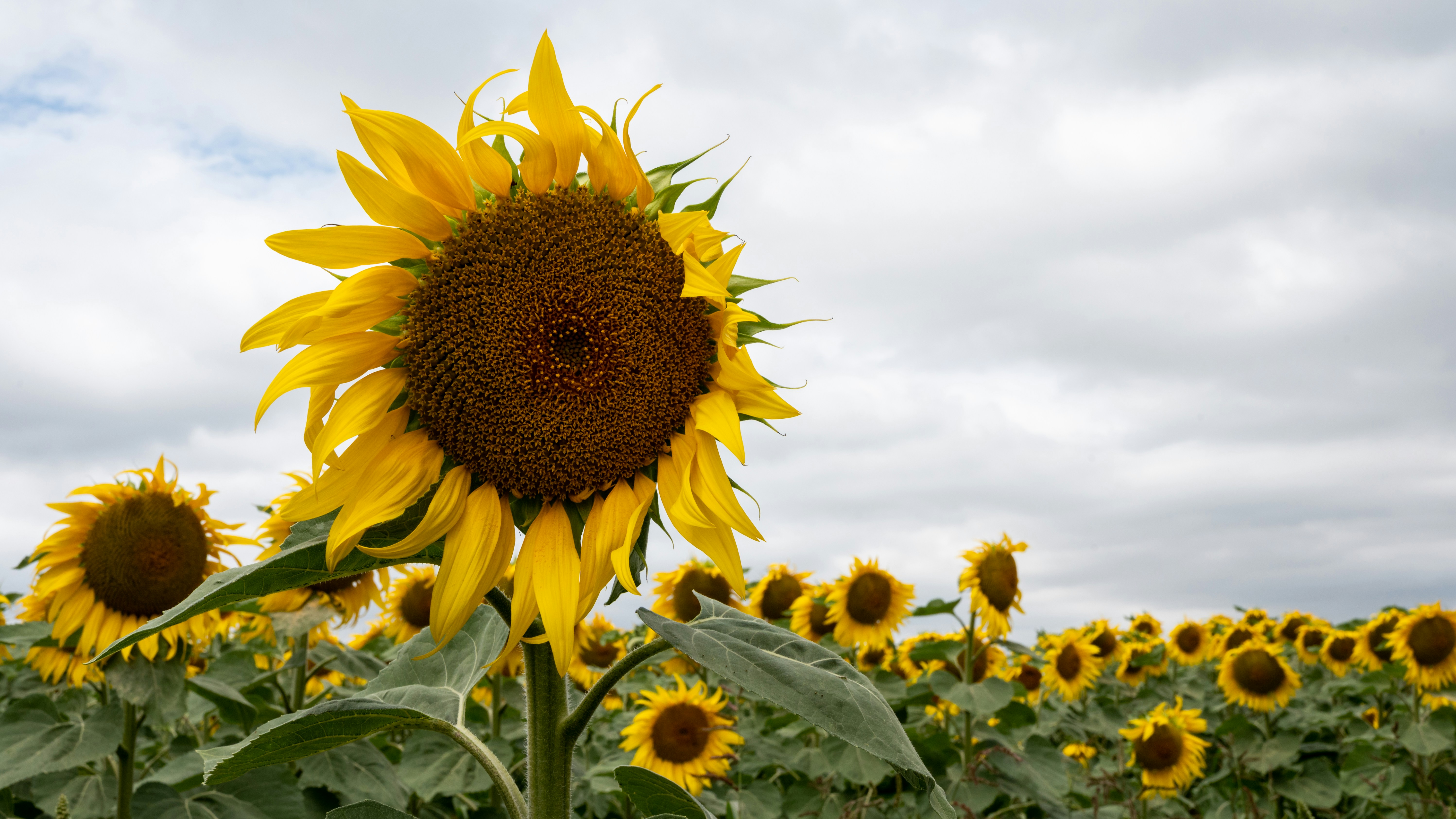 Photo by carrie_borden