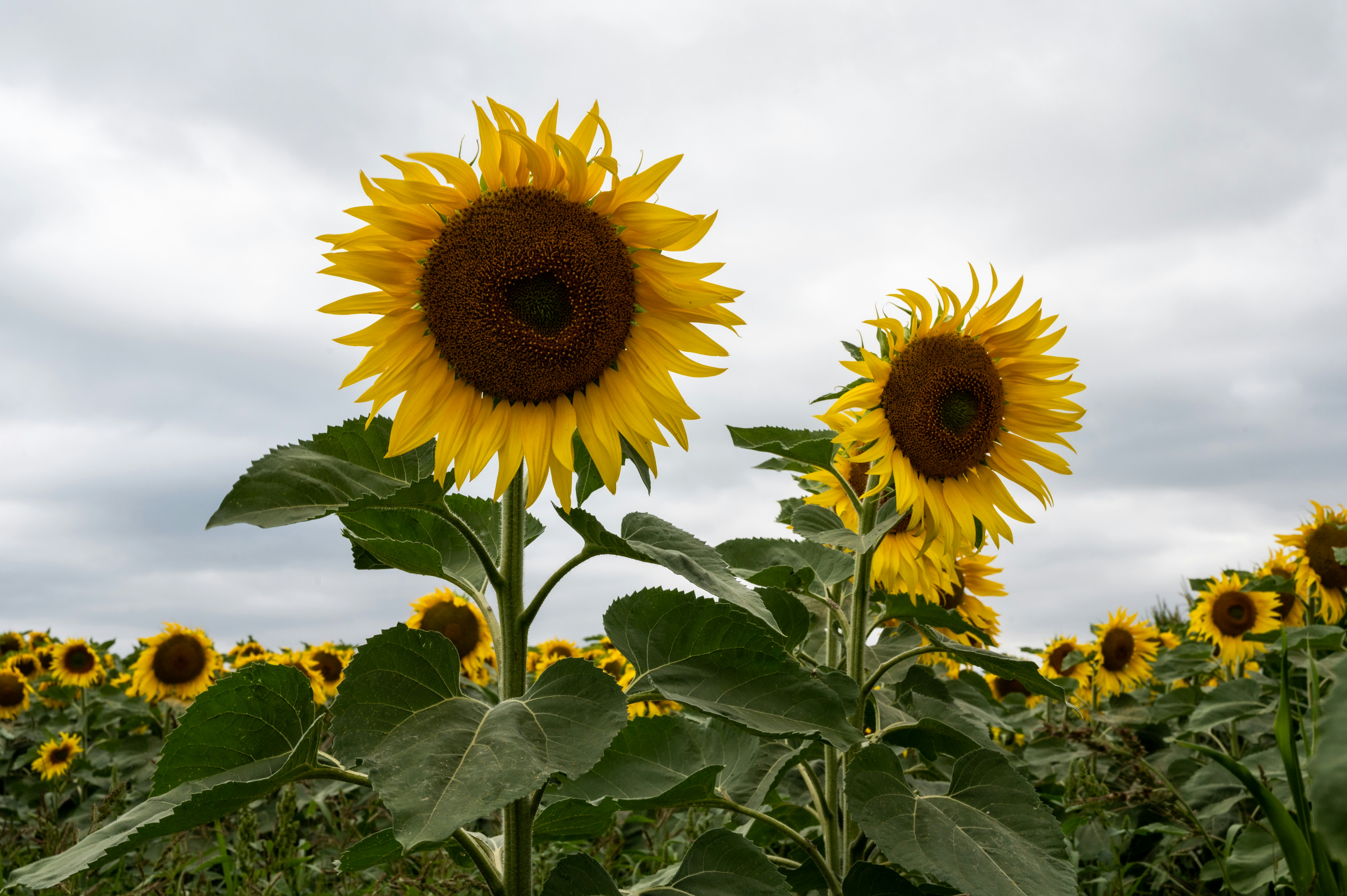 Photo by carrie_borden