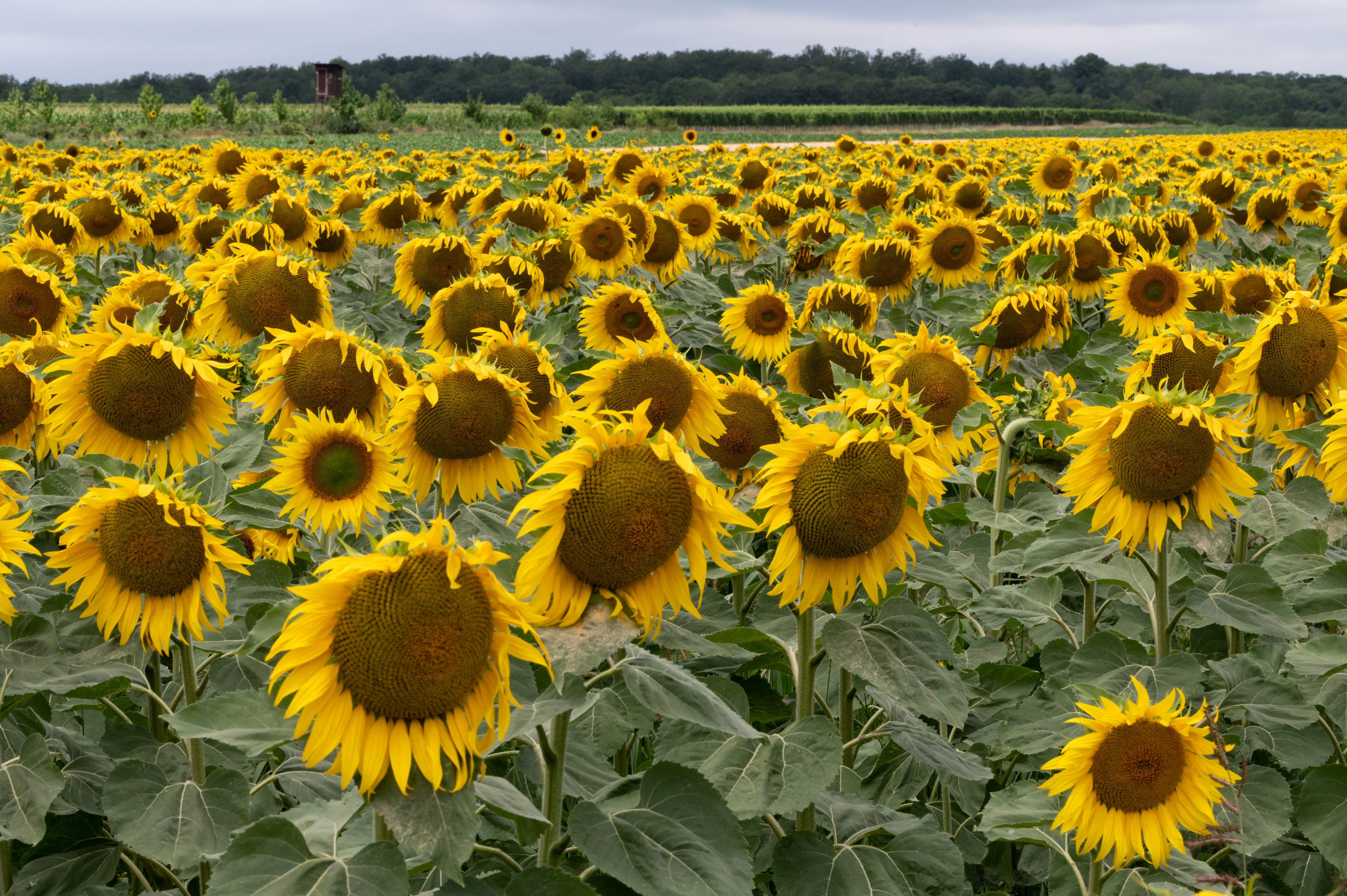 Photo by carrie_borden