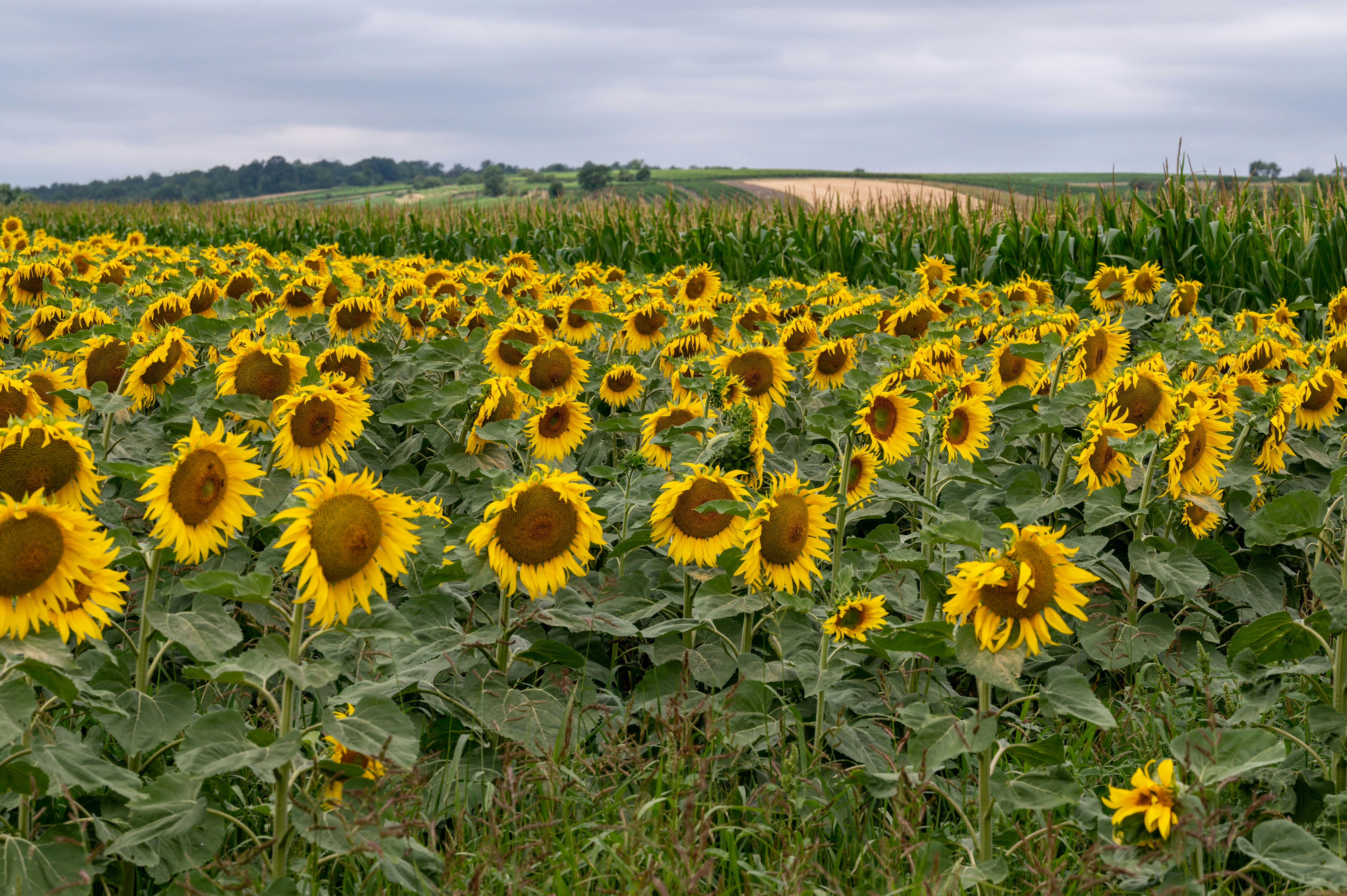 Photo by carrie_borden