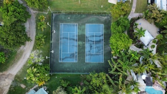 An aerial view of a tennis court surrounded by lush green trees and vegetation. The court appears to be outdoors with two separate playing areas marked clearly with white lines. Nearby pathways and sections of a garden or park can be seen, along with a few small structures.