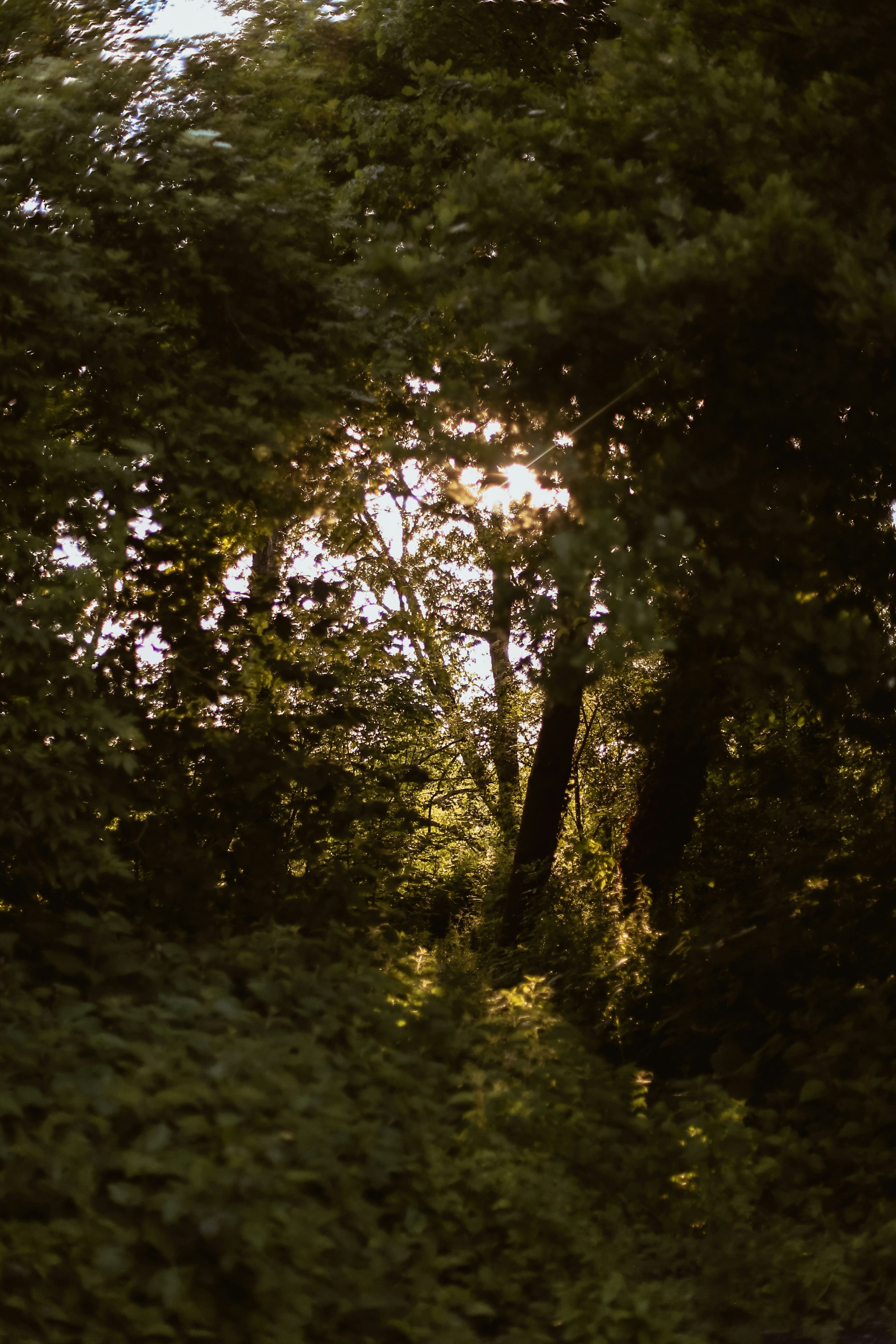 Photo by jessicalfadel